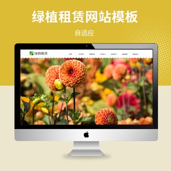 花卉办公盆栽绿植租赁