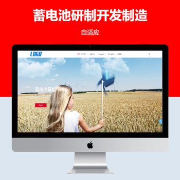 蓄电池研制开发制造