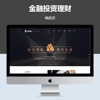 金融投资理财响应式