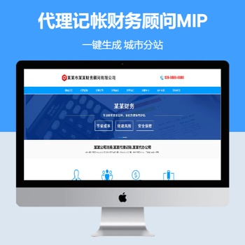 代理记帐财务顾问MIP响应式