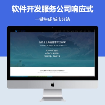 软件开发服务公司响应式