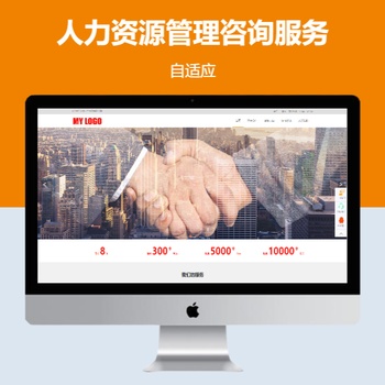 人力资源管理咨询服务