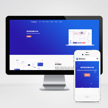 SEO优化网络公司